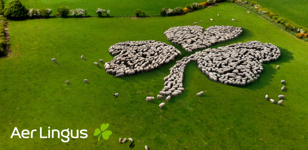 Fanciful image showing sheep herded into the shape of a clover