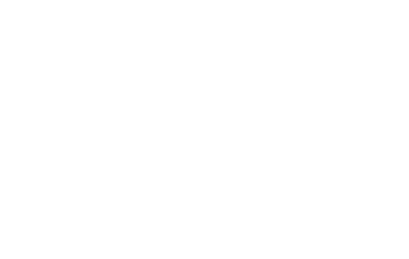 Footer Four Seasons logo