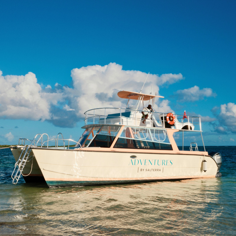 Adventures by Salterra