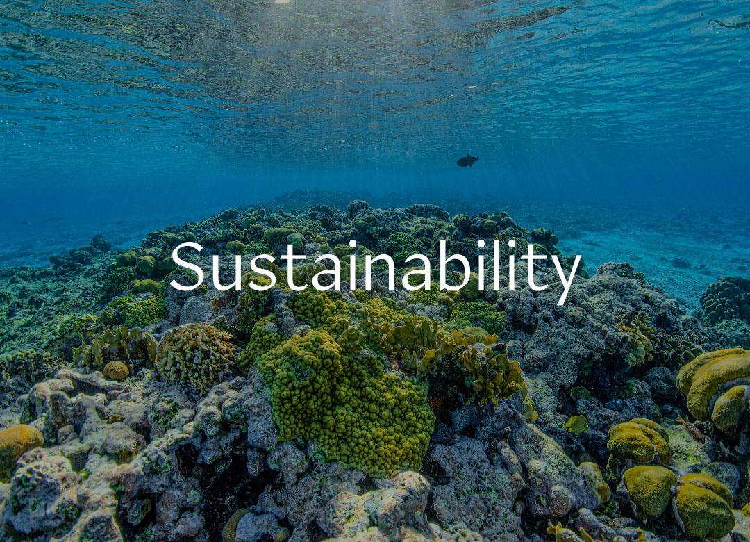 Sustainability