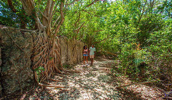 Windley Key Fossil Reef Geological State Park
