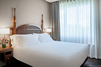 Premium with View, 1 Double or 2 Twin, at NH Collection Madrid Paseo del Prado