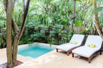Jungle Suite with Plunge Pool King, at Hotel Esencia