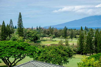 Golf Villas Ocean View 1 Bedroom, at The Kapalua Villas Maui