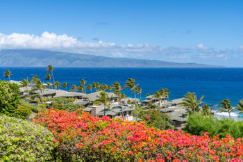 Ridge Villas #2215 1 Bedroom Ocean View, at The Kapalua Villas Maui