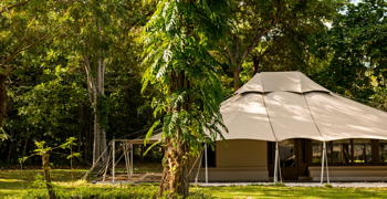 Jungle Tent, at Amanwana