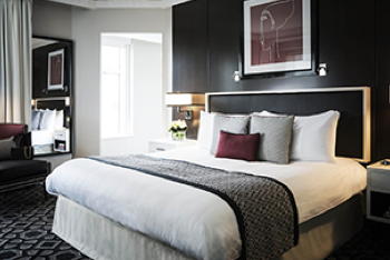 Luxury Room, King, at Sofitel Washington DC Lafayette Square