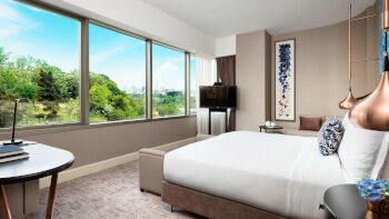 1 King Bed, Park View, Guest Room, at The Ritz-Carlton, Istanbul