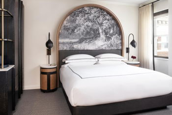 1 King, at Kimpton Cottonwood Hotel