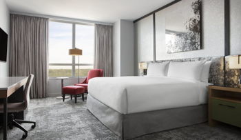 ADA Accessible Luxury King Mobility/Hearing Accessible Roll-in Shower, at Loews Chicago O