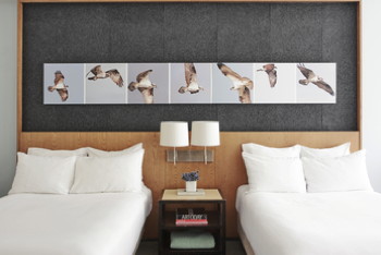 Deluxe Double, at 21c Museum Hotel Louisville