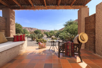 Catarpe, at Nayara Alto Atacama